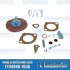 Fuel Pump Rebuild Kit, 25-36hp