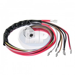 Ignition Switch, Electrical Portion w/Wires Ignition Switch, Electrical Portion w/Wires