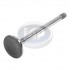Intake Valve, 31.5mm, 40hp 1200cc, Stock