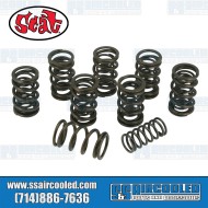Valve Springs, Dual