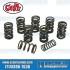 Valve Springs, Dual