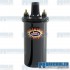 Ignition Coil, 12 Volt, 45Kv Output, .6 ohm, Epoxy Filled, Black