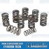 Valve Springs, Dual, Hi-Rev