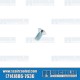 VW Screw, M5x10mm, Inner Door Handle Trim Plate, N142161, VW Bug, Ghia, Super Beetle, Bus, Type 3